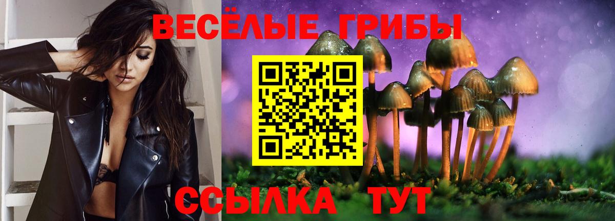 Бузулук  купить   Вход с VPN  Псилоцибиновые грибы Psilocybe  Галлюциногенные грибы ЛСД 